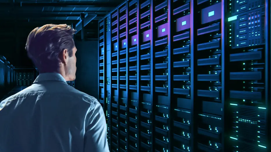 Network administrator looks at web server